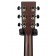 Auden Rosewood Series Julia Cedar Full Body Headstock Back