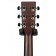 Auden Rosewood Series Julia Cedar Full Body Headstock Back