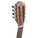 Baton Rouge V2-B8 Sun 8 String Baritone Ukulele Headstock