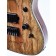 BC Rich Shredzilla Extreme Exotic Spalted Maple Controls