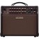 BOSS Acoustic Singer Live Amplifier