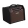 BOSS Acoustic Singer Live LT Acoustic Amplifier