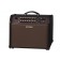 BOSS Acoustic Singer Pro Acoustic Amplifier