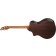 Breedlove Legacy Concert CE Sinker Redwood / Rosewood