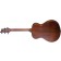 Breedlove Discovery S Companion Red Cedar Back Angle copy