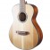 Breedlove Discovery S Companion Red Cedar Body copy