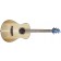 Breedlove Discovery S Companion Red Cedar Front