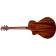 Breedlove Discovery S Concert CE Sitka Spruce Back Angle