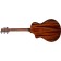 Breedlove Discovery S Concert CE Sitka Spruce Back