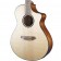 Breedlove Discovery S Concert CE Sitka Spruce Body copy