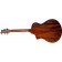 Breedlove Discovery S Concert Edgeburst CE Mahogany Back Angle copy