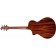 Breedlove Discovery S Concert Edgeburst CE Red Cedar Back