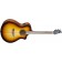 Breedlove Discovery S Concert Edgeburst CE Red Cedar Front Angle