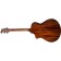 Breedlove Discovery S Concert Edgeburst CE Sitka Spruce Back Angle copy