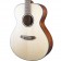 Breedlove Discovery S Concert Left handed European Spruce Body