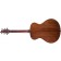 Breedlove Discovery S Concert Mahogany Back