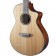 Breedlove Discovery S Concert Nylon CE Red Cedar Body