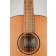 Breedlove Discovery S Concert Nylon CE Red Cedar Body Detail