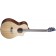 Breedlove Discovery S Concert Nylon CE Red Cedar Front Angle 2
