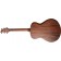 Breedlove Discovery S Concert Sitka Spruce/African Mahogany Back Angle
