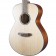 Breedlove Discovery S Concert Sitka Spruce/African Mahogany Body