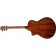 Breedlove Discovery S Concerto Edgeburst CE Sitka Back Angle