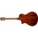 Breedlove Discovery S Concerto Edgeburst CE Sitka Back