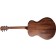 Breedlove Discovery S Concerto Sitka Spruce Back Angle