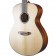 Breedlove Discovery S Concerto Sitka Spruce Body copy