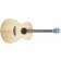 Breedlove Discovery S Concerto Sitka Spruce Front