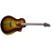 Breedlove Pursuit Exotic S Concert Earthsong CE Myrtlewood