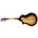 Breedlove Organic Artista Pro Concert 12-String Burnt Amber CE