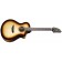 Breedlove Organic Artista Pro Concert 12-String Burnt Amber CE