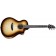 Breedlove Organic Artista Pro Concert Burnt Amber CE