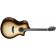 Breedlove Organic Artista Pro Concerto Burnt Amber CE