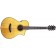 Breedlove Organic Performer Pro Concertina Aged Toner CE