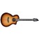 Breedlove Organic Solo Pro Concert Edgeburst Nylon CE