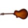 Breedlove Organic Wildwood Pro Concert Tiger's Eye CE