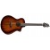 Breedlove Organic Wildwood Pro Concert Tiger's Eye CE