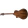 Breedlove Organic Wildwood Pro Concert Suede CE Back Angle