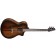 Breedlove Organic Wildwood Pro Concert Suede CE Front Angle