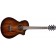 Breedlove Organic Wildwood Pro Concetina Suede CE