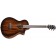 Breedlove Organic Wildwood Pro Concetina Suede CE