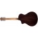 Breedlove Premier Concertina Burnt Amber CE Adirondack Spruce East Indian Rosewood Back