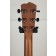 Breedlove Premier Concertina Edgeburst CE Redwood/East Indian Rosewood Headstock Back