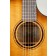 Breedlove Pursuit Exotic S Concert Amber CE Myrtlewood Soundhole