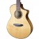 Breedlove Pursuit Exotic S Concert Nylon CE Body