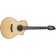 Breedlove Pursuit Exotic S Concert Nylon CE Front