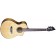 Breedlove Pursuit Exotic S Concert Nylon CE Front Angle