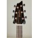 Breedlove Pursuit Exotic S Concert Tiger's Eye CE Myrtlewood Headstock